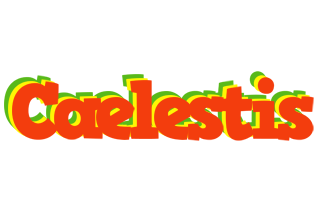 Caelestis bbq logo