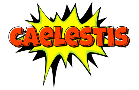 Caelestis bigfoot logo