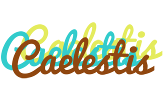 Caelestis cupcake logo