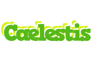 Caelestis picnic logo