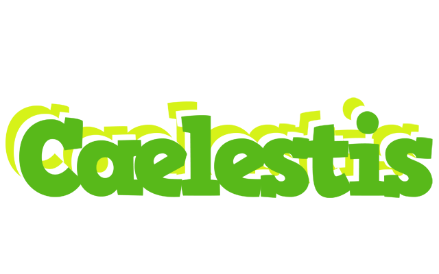 Caelestis picnic logo