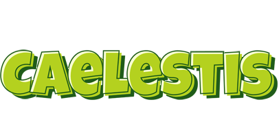 Caelestis summer logo