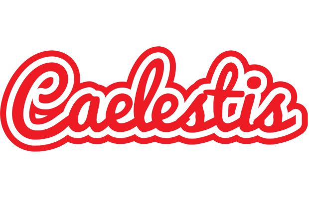 Caelestis sunshine logo