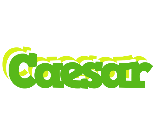 Caesar picnic logo