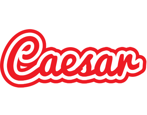 Caesar sunshine logo