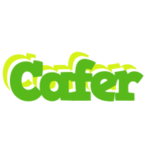 Cafer picnic logo