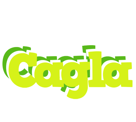 Cagla citrus logo