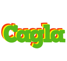 Cagla crocodile logo