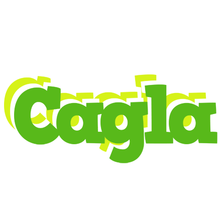 Cagla picnic logo