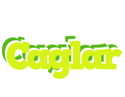 Caglar citrus logo