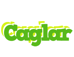 Caglar picnic logo