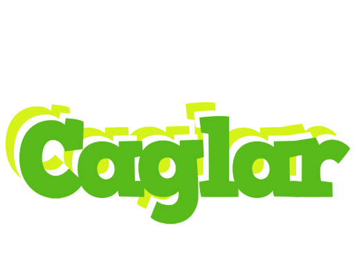 Caglar picnic logo
