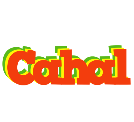 Cahal bbq logo