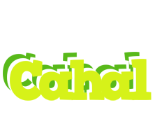 Cahal citrus logo