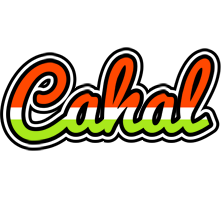 Cahal exotic logo