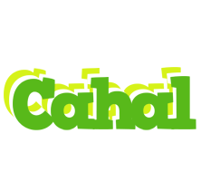 Cahal picnic logo