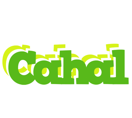 Cahal picnic logo