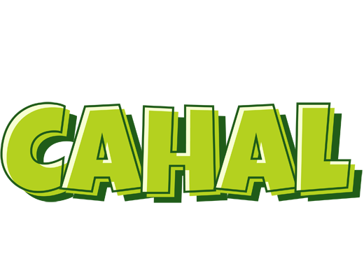 Cahal summer logo