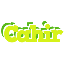 Cahir citrus logo