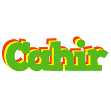 Cahir crocodile logo