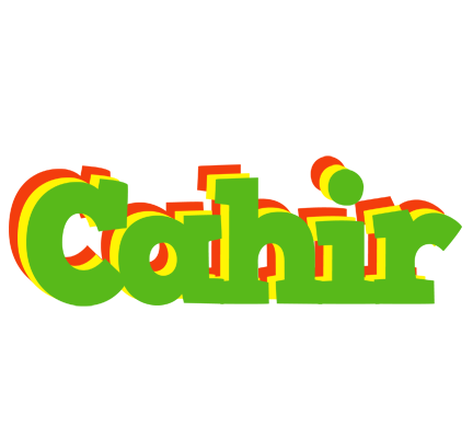 Cahir crocodile logo