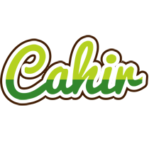 Cahir golfing logo