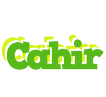 Cahir picnic logo