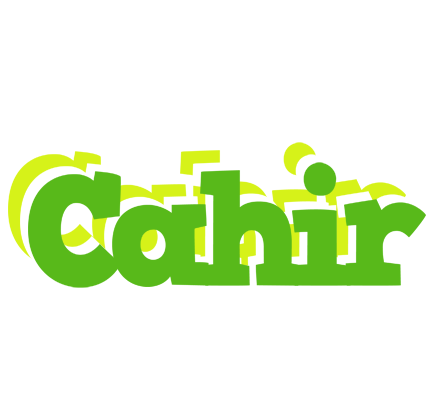 Cahir picnic logo