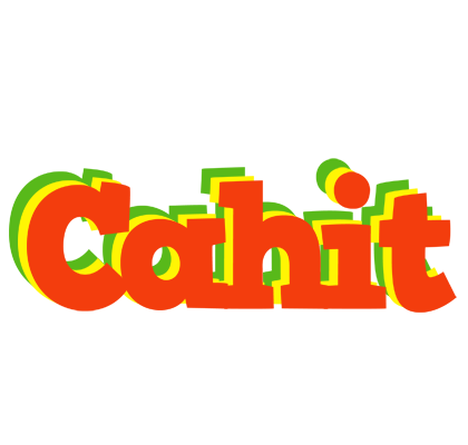 Cahit bbq logo