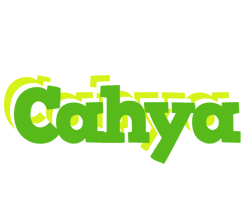 Cahya picnic logo