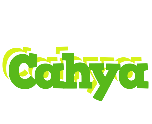 Cahya picnic logo