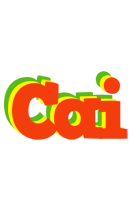 Cai bbq logo