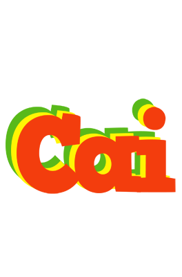Cai bbq logo