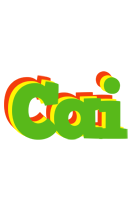 Cai crocodile logo