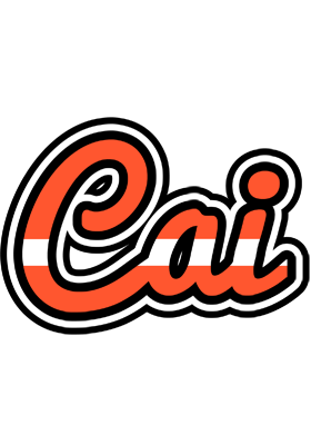 Cai denmark logo