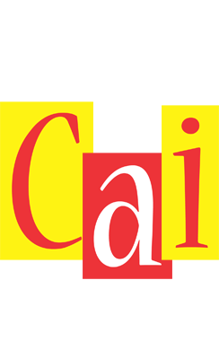 Cai errors logo