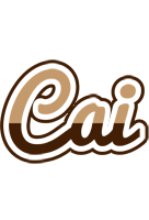 Cai exclusive logo