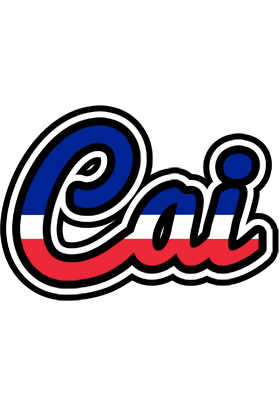 Cai france logo