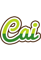 Cai golfing logo