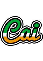 Cai ireland logo