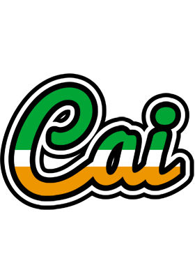 Cai ireland logo