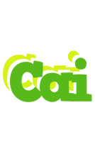 Cai picnic logo