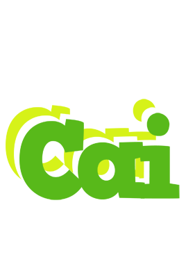 Cai picnic logo