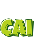 Cai summer logo