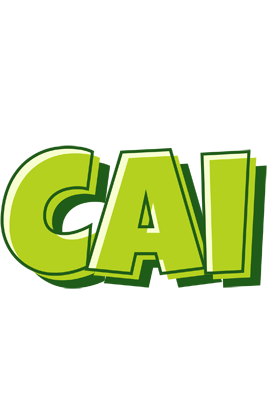 Cai summer logo