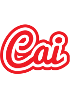 Cai sunshine logo