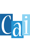 Cai winter logo