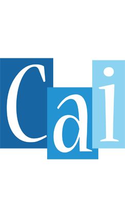 Cai winter logo