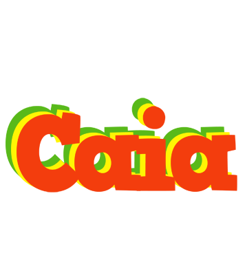Caia bbq logo
