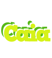 Caia citrus logo